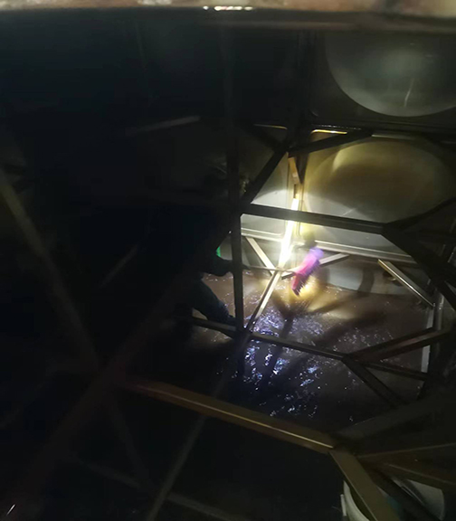 ιˮõˮϴô